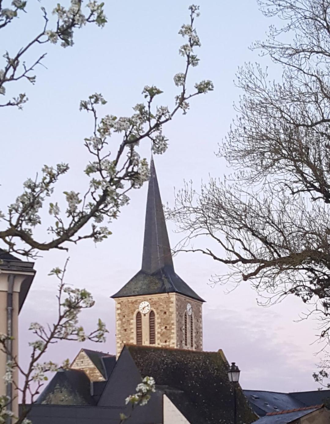 Briollay Gite Angers Proche מראה חיצוני תמונה